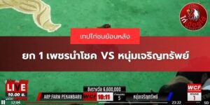 ไก่ชนออนไลน์