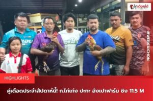 ไก่ชนอินเตอร์