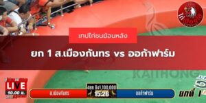 ไฮไลท์ไก่ชน