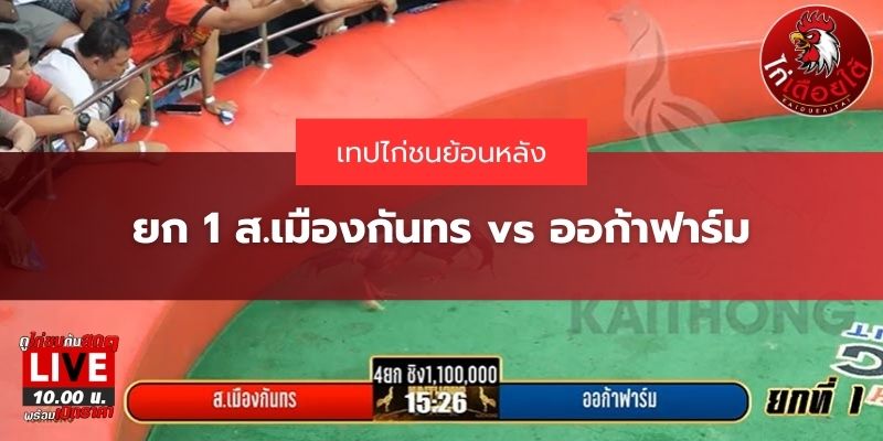 ไฮไลท์ไก่ชน