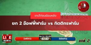 ไฮไลท์ไก่ชนย้อนหลัง
