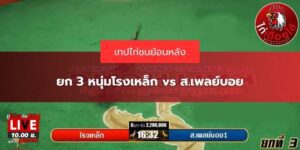 ไฮไลท์ไก่ชนล่าสุด