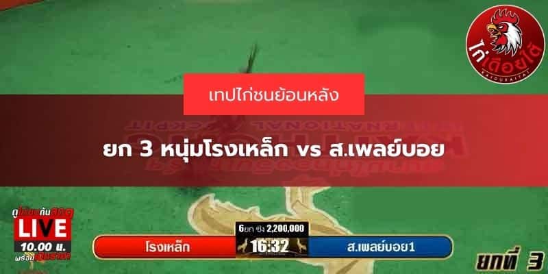 ไฮไลท์ไก่ชนล่าสุด