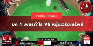 ไฮไลท์ไก่ชนออนไลน์