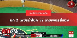 ไฮไลท์ไก่ย้อนหลัง