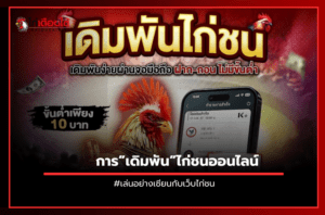 การ”เดิมพัน”ไก่ชนออนไลน์.