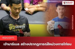 ข่าวไก่ชน