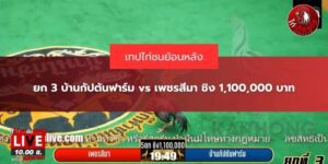 คลิปไก่ชนย้อนหลัง