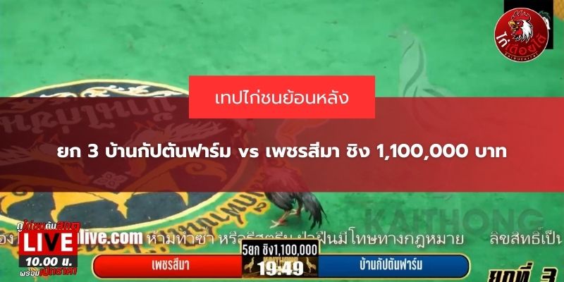 คลิปไก่ชนย้อนหลัง
