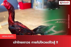 ซุ้มอาลาดิน