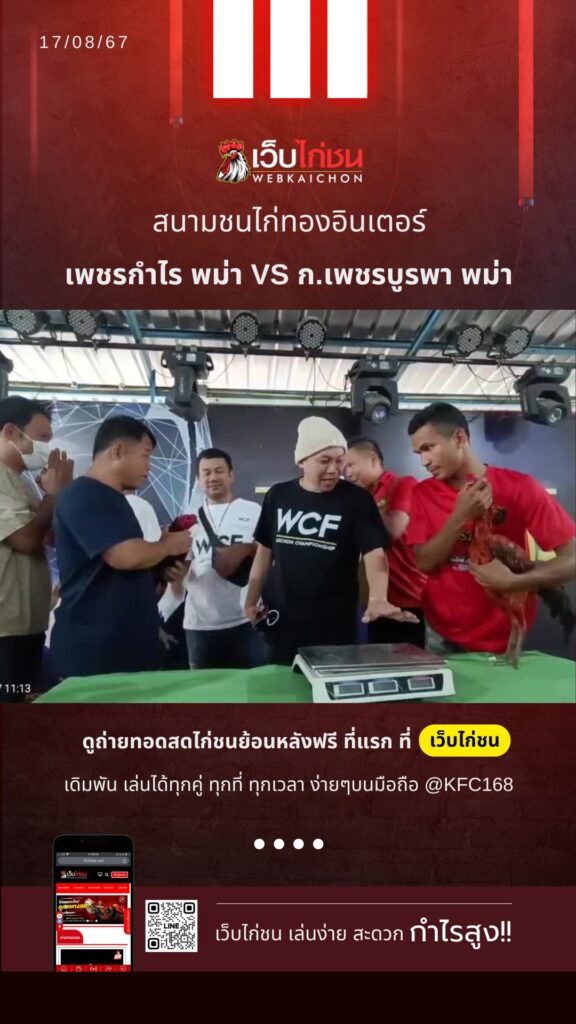 ดูตัวไก่ชน