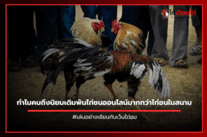 ทำไมคนถึงนิยมเดิมพันไก่ชนออนไลน์มากกว่าไก่ชนในสนาม.