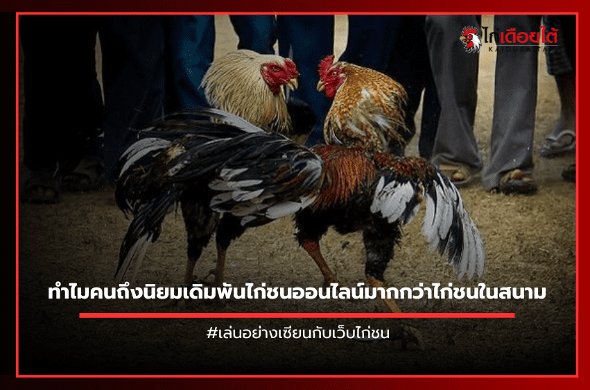 ทำไมคนถึงนิยมเดิมพันไก่ชนออนไลน์มากกว่าไก่ชนในสนาม.