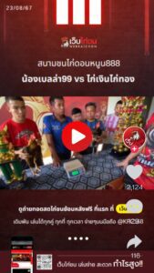 น้องเบลล่า99 vs ไก่เงินไก่ทอง