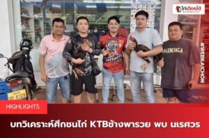 สนามชนไก่ PNM ดอนหนูน888 (สปป.ลาว)