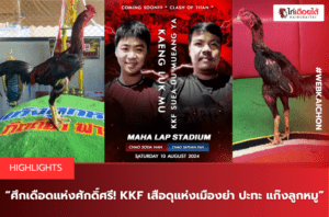 ศึกเดือดแห่งศักดิ์ศรี! KKF เสือดุแห่งเมืองย่า ปะทะ แก๊งลูกหมู