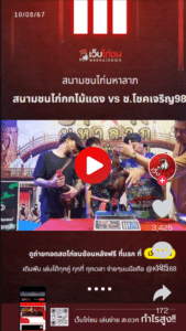 สนามชนไก่กกไม้แดง vs ช.โชคเจริญ98