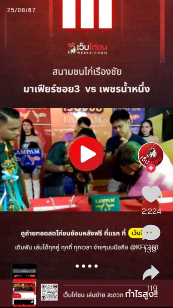 สนามชนไก่เรืองชัย