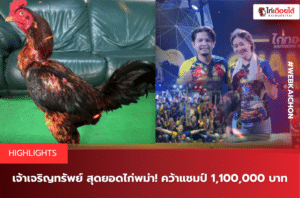 เจ้าเจริญทรัพย์ สุดยอดไก่พม่า คว้าแชมป์ 1,100,000 บาท!