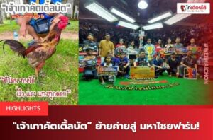 เจ้าเทาคัตเตอร์บัต