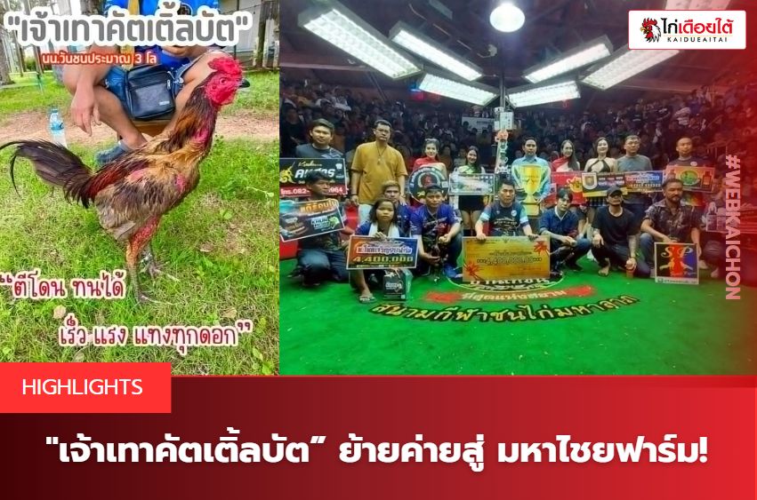เจ้าเทาคัตเตอร์บัต