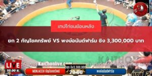 เทปย้อนหลังไก่ชน