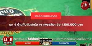 คลิปไฮไลท์ไก่ชน