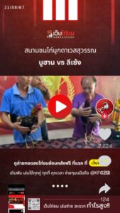 เปรียบไก่ชนวันนี้