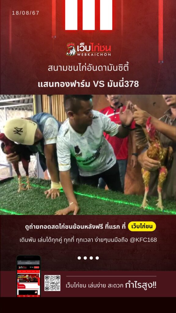 เปรียบไก่ชนวันนี้
