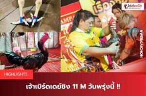 ไก่ชนสด