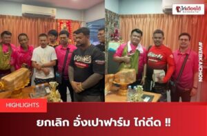 ไฮไลท์ไก่ชนล่าสุด
