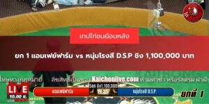 คลิปไฮไลท์ไก่ชน