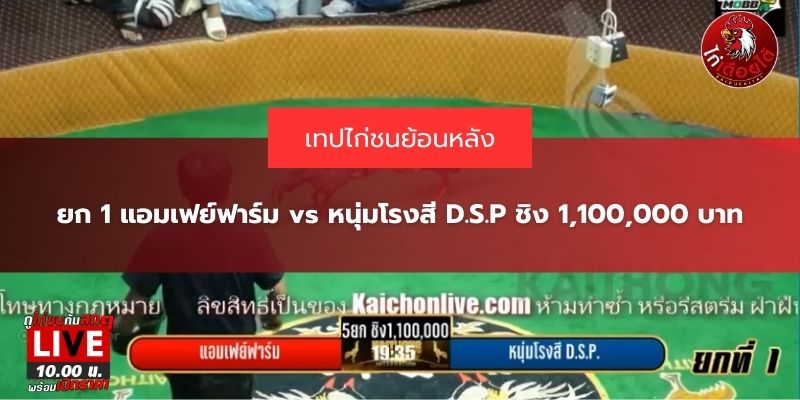 คลิปไฮไลท์ไก่ชน