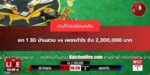ไก่ชนย้อนหลังวันนี้