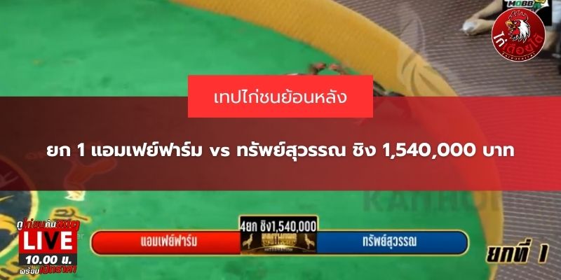 คลิปแอมเฟย์ฟาร์ม