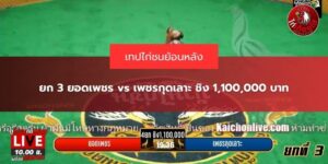 คลิปไก่ชนย้อนหลัง