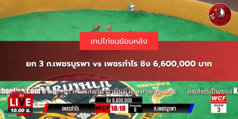คลิปไก่ชนย้อนหลัง