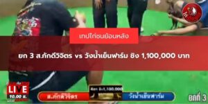 คลิปไก่ชนย้อนหลัง