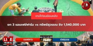 ไก่ ชนสด