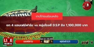 ถ่ายทอดสด ไก่ชนล่าสุด