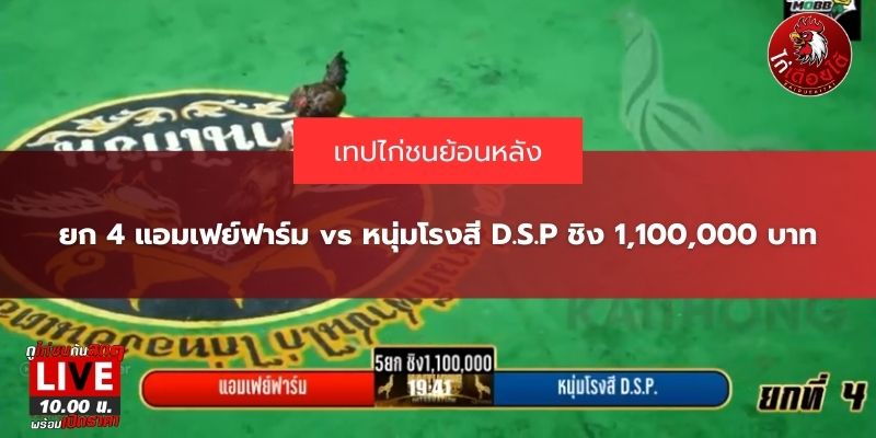 ถ่ายทอดสด ไก่ชนล่าสุด