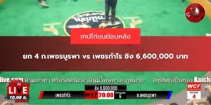 ไก่ชนเงินล้าน ล่าสุด