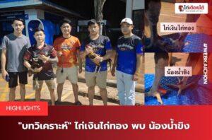 ไก่เงินไก่ทอง พบ น้องน้ำขิง