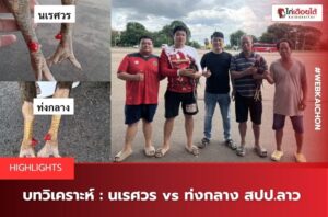 บทวิเคราะห์ไก่ชน