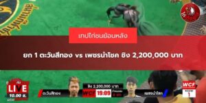 คลิปสนามไก่ทองอินเตอร์