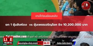 ไก่ชน สิงดงห์