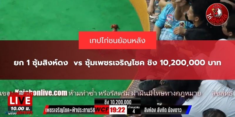 ไก่ชน สิงดงห์