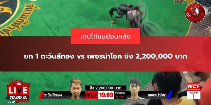 คลิปสนามไก่ทองอินเตอร์