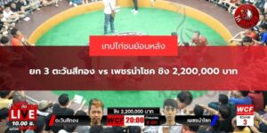 ไก่ชนย้อนหลัง67
