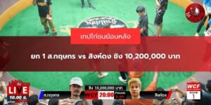 ไก่ชนคู่เอก